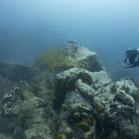 Divers House Ko Tao Luaran gambar