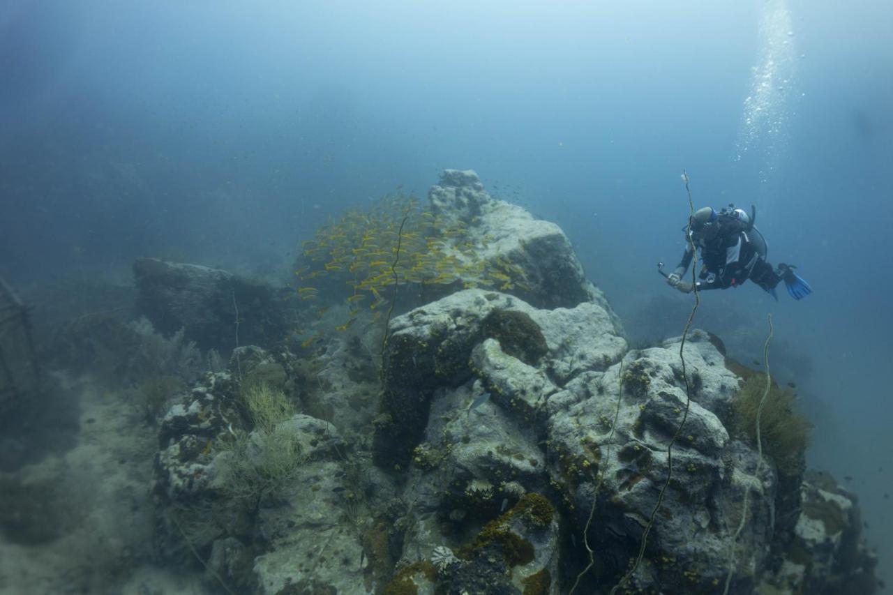 Divers House Ko Tao Luaran gambar